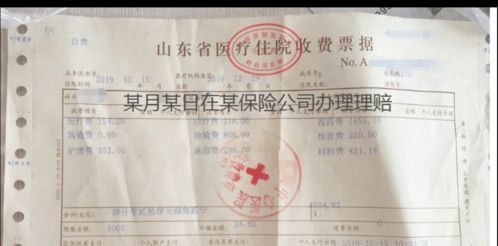 人保壽險全方位服務指南 保單查詢、驗真、發票與理賠